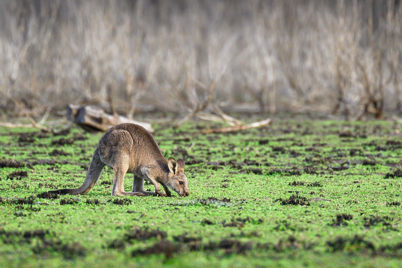 How to Know When You Need a Break from Research